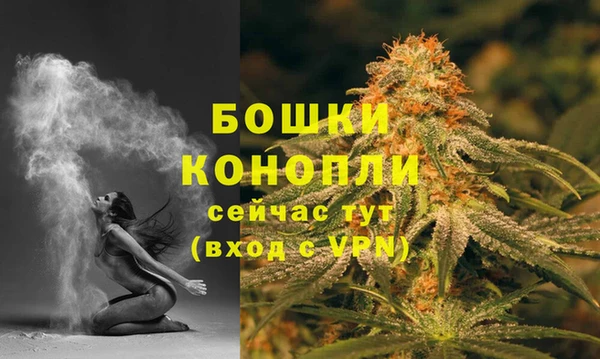 дурь Алзамай