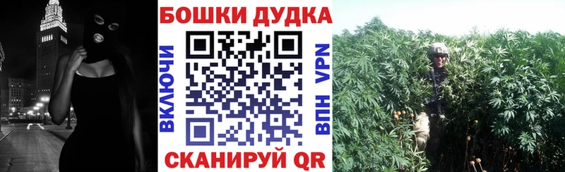 где купить наркотик  Снежногорск  Бошки Шишки сатива 